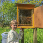 Schaukasten für Bienen